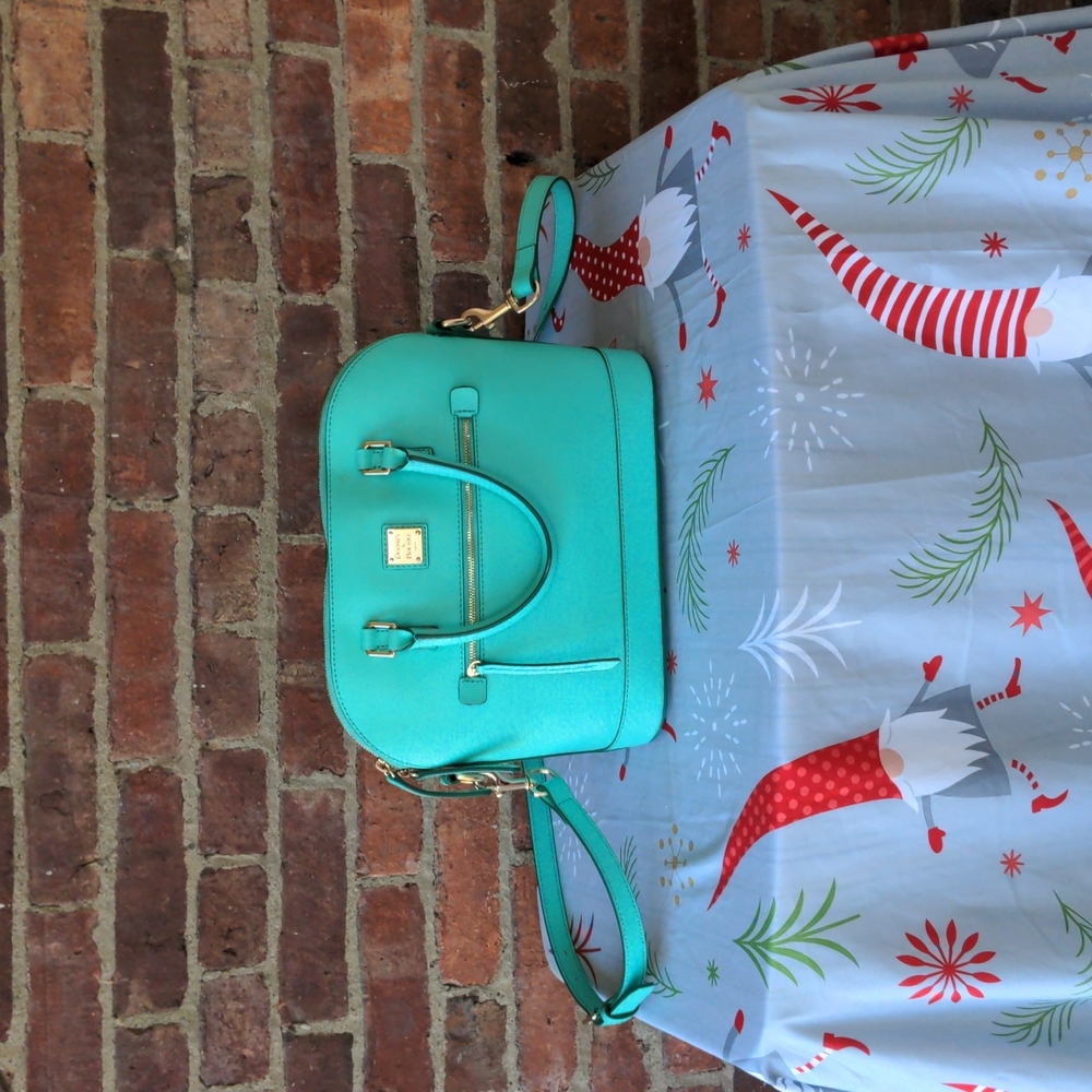 Dooney & Bourke crossbody dome bag